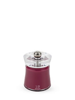 Bali - Peugeot Saveurs